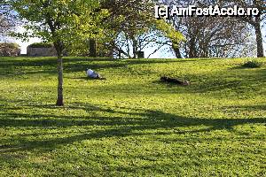 [P18] un pic de rolling down the hill » foto by icata24
 - 
<span class="allrVoted glyphicon glyphicon-heart hidden" id="av505387"></span>
<a class="m-l-10 hidden" id="sv505387" onclick="voting_Foto_DelVot(,505387,8909)" role="button">șterge vot <span class="glyphicon glyphicon-remove"></span></a>
<a id="v9505387" class=" c-red"  onclick="voting_Foto_SetVot(505387)" role="button"><span class="glyphicon glyphicon-heart-empty"></span> <b>LIKE</b> = Votează poza</a> <img class="hidden"  id="f505387W9" src="/imagini/loader.gif" border="0" /><span class="AjErrMes hidden" id="e505387ErM"></span>