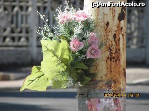 [P01] orice review incepe cu o poza inedita. in viteza masinii nu am ratat acest buchet superb lipit pe un stilp » foto by adri-nico
 - 
<span class="allrVoted glyphicon glyphicon-heart hidden" id="av621798"></span>
<a class="m-l-10 hidden" id="sv621798" onclick="voting_Foto_DelVot(,621798,8924)" role="button">șterge vot <span class="glyphicon glyphicon-remove"></span></a>
<a id="v9621798" class=" c-red"  onclick="voting_Foto_SetVot(621798)" role="button"><span class="glyphicon glyphicon-heart-empty"></span> <b>LIKE</b> = Votează poza</a> <img class="hidden"  id="f621798W9" src="/imagini/loader.gif" border="0" /><span class="AjErrMes hidden" id="e621798ErM"></span>