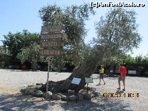 [P15] Citeva inicatoare de orientare » foto by adri-nico
 - 
<span class="allrVoted glyphicon glyphicon-heart hidden" id="av621812"></span>
<a class="m-l-10 hidden" id="sv621812" onclick="voting_Foto_DelVot(,621812,8924)" role="button">șterge vot <span class="glyphicon glyphicon-remove"></span></a>
<a id="v9621812" class=" c-red"  onclick="voting_Foto_SetVot(621812)" role="button"><span class="glyphicon glyphicon-heart-empty"></span> <b>LIKE</b> = Votează poza</a> <img class="hidden"  id="f621812W9" src="/imagini/loader.gif" border="0" /><span class="AjErrMes hidden" id="e621812ErM"></span>
