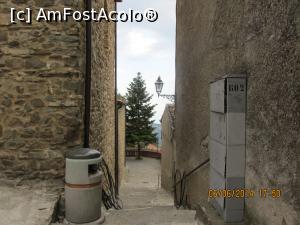 [P14] bradut in trotuarul de piatra » foto by adri-nico
 - 
<span class="allrVoted glyphicon glyphicon-heart hidden" id="av824938"></span>
<a class="m-l-10 hidden" id="sv824938" onclick="voting_Foto_DelVot(,824938,8924)" role="button">șterge vot <span class="glyphicon glyphicon-remove"></span></a>
<a id="v9824938" class=" c-red"  onclick="voting_Foto_SetVot(824938)" role="button"><span class="glyphicon glyphicon-heart-empty"></span> <b>LIKE</b> = Votează poza</a> <img class="hidden"  id="f824938W9" src="/imagini/loader.gif" border="0" /><span class="AjErrMes hidden" id="e824938ErM"></span>