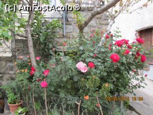 [P22] desi straduta era extrem de ingusta s-a gasit un colt cu pamint pentru o minigradina cu tranafiri.  » foto by adri-nico
 - 
<span class="allrVoted glyphicon glyphicon-heart hidden" id="av824946"></span>
<a class="m-l-10 hidden" id="sv824946" onclick="voting_Foto_DelVot(,824946,8924)" role="button">șterge vot <span class="glyphicon glyphicon-remove"></span></a>
<a id="v9824946" class=" c-red"  onclick="voting_Foto_SetVot(824946)" role="button"><span class="glyphicon glyphicon-heart-empty"></span> <b>LIKE</b> = Votează poza</a> <img class="hidden"  id="f824946W9" src="/imagini/loader.gif" border="0" /><span class="AjErrMes hidden" id="e824946ErM"></span>