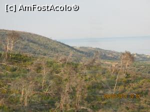 [P37] copaci distrusi de torent » foto by adri-nico
 - 
<span class="allrVoted glyphicon glyphicon-heart hidden" id="av824961"></span>
<a class="m-l-10 hidden" id="sv824961" onclick="voting_Foto_DelVot(,824961,8924)" role="button">șterge vot <span class="glyphicon glyphicon-remove"></span></a>
<a id="v9824961" class=" c-red"  onclick="voting_Foto_SetVot(824961)" role="button"><span class="glyphicon glyphicon-heart-empty"></span> <b>LIKE</b> = Votează poza</a> <img class="hidden"  id="f824961W9" src="/imagini/loader.gif" border="0" /><span class="AjErrMes hidden" id="e824961ErM"></span>