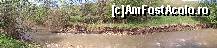 [P02] Raul din spatele pensiunii » foto by secanu
 - 
<span class="allrVoted glyphicon glyphicon-heart hidden" id="av326436"></span>
<a class="m-l-10 hidden" id="sv326436" onclick="voting_Foto_DelVot(,326436,8942)" role="button">șterge vot <span class="glyphicon glyphicon-remove"></span></a>
<a id="v9326436" class=" c-red"  onclick="voting_Foto_SetVot(326436)" role="button"><span class="glyphicon glyphicon-heart-empty"></span> <b>LIKE</b> = Votează poza</a> <img class="hidden"  id="f326436W9" src="/imagini/loader.gif" border="0" /><span class="AjErrMes hidden" id="e326436ErM"></span>