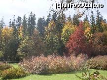 [P11] Sinaia - Castelul Peleş: tablou autumnal » foto by cri_zina
 - 
<span class="allrVoted glyphicon glyphicon-heart hidden" id="av478209"></span>
<a class="m-l-10 hidden" id="sv478209" onclick="voting_Foto_DelVot(,478209,8942)" role="button">șterge vot <span class="glyphicon glyphicon-remove"></span></a>
<a id="v9478209" class=" c-red"  onclick="voting_Foto_SetVot(478209)" role="button"><span class="glyphicon glyphicon-heart-empty"></span> <b>LIKE</b> = Votează poza</a> <img class="hidden"  id="f478209W9" src="/imagini/loader.gif" border="0" /><span class="AjErrMes hidden" id="e478209ErM"></span>