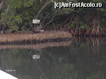 [P20] diferite canale pe lac » foto by travoice
 - 
<span class="allrVoted glyphicon glyphicon-heart hidden" id="av202382"></span>
<a class="m-l-10 hidden" id="sv202382" onclick="voting_Foto_DelVot(,202382,8958)" role="button">șterge vot <span class="glyphicon glyphicon-remove"></span></a>
<a id="v9202382" class=" c-red"  onclick="voting_Foto_SetVot(202382)" role="button"><span class="glyphicon glyphicon-heart-empty"></span> <b>LIKE</b> = Votează poza</a> <img class="hidden"  id="f202382W9" src="/imagini/loader.gif" border="0" /><span class="AjErrMes hidden" id="e202382ErM"></span>