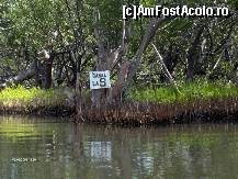 [P26] canale pe lac (o mini delta) » foto by travoice
 - 
<span class="allrVoted glyphicon glyphicon-heart hidden" id="av202388"></span>
<a class="m-l-10 hidden" id="sv202388" onclick="voting_Foto_DelVot(,202388,8958)" role="button">șterge vot <span class="glyphicon glyphicon-remove"></span></a>
<a id="v9202388" class=" c-red"  onclick="voting_Foto_SetVot(202388)" role="button"><span class="glyphicon glyphicon-heart-empty"></span> <b>LIKE</b> = Votează poza</a> <img class="hidden"  id="f202388W9" src="/imagini/loader.gif" border="0" /><span class="AjErrMes hidden" id="e202388ErM"></span>