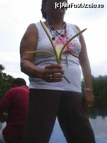[P55] floare » foto by travoice
 - 
<span class="allrVoted glyphicon glyphicon-heart hidden" id="av202500"></span>
<a class="m-l-10 hidden" id="sv202500" onclick="voting_Foto_DelVot(,202500,8958)" role="button">șterge vot <span class="glyphicon glyphicon-remove"></span></a>
<a id="v9202500" class=" c-red"  onclick="voting_Foto_SetVot(202500)" role="button"><span class="glyphicon glyphicon-heart-empty"></span> <b>LIKE</b> = Votează poza</a> <img class="hidden"  id="f202500W9" src="/imagini/loader.gif" border="0" /><span class="AjErrMes hidden" id="e202500ErM"></span>