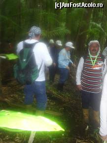 [P57] in jungla » foto by travoice
 - 
<span class="allrVoted glyphicon glyphicon-heart hidden" id="av202502"></span>
<a class="m-l-10 hidden" id="sv202502" onclick="voting_Foto_DelVot(,202502,8958)" role="button">șterge vot <span class="glyphicon glyphicon-remove"></span></a>
<a id="v9202502" class=" c-red"  onclick="voting_Foto_SetVot(202502)" role="button"><span class="glyphicon glyphicon-heart-empty"></span> <b>LIKE</b> = Votează poza</a> <img class="hidden"  id="f202502W9" src="/imagini/loader.gif" border="0" /><span class="AjErrMes hidden" id="e202502ErM"></span>