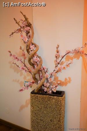 [P04]  -- <small>// FĂRĂ DESCRIERE</small> » foto by ado_lex
 - 
<span class="allrVoted glyphicon glyphicon-heart hidden" id="av917096"></span>
<a class="m-l-10 hidden" id="sv917096" onclick="voting_Foto_DelVot(,917096,8964)" role="button">șterge vot <span class="glyphicon glyphicon-remove"></span></a>
<a id="v9917096" class=" c-red"  onclick="voting_Foto_SetVot(917096)" role="button"><span class="glyphicon glyphicon-heart-empty"></span> <b>LIKE</b> = Votează poza</a> <img class="hidden"  id="f917096W9" src="/imagini/loader.gif" border="0" /><span class="AjErrMes hidden" id="e917096ErM"></span>