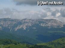 [P10] se apropia seara » foto by poll
 - 
<span class="allrVoted glyphicon glyphicon-heart hidden" id="av212534"></span>
<a class="m-l-10 hidden" id="sv212534" onclick="voting_Foto_DelVot(,212534,8964)" role="button">șterge vot <span class="glyphicon glyphicon-remove"></span></a>
<a id="v9212534" class=" c-red"  onclick="voting_Foto_SetVot(212534)" role="button"><span class="glyphicon glyphicon-heart-empty"></span> <b>LIKE</b> = Votează poza</a> <img class="hidden"  id="f212534W9" src="/imagini/loader.gif" border="0" /><span class="AjErrMes hidden" id="e212534ErM"></span>