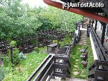 [P14] o alta vedere spre terasa » foto by poll
 - 
<span class="allrVoted glyphicon glyphicon-heart hidden" id="av212538"></span>
<a class="m-l-10 hidden" id="sv212538" onclick="voting_Foto_DelVot(,212538,8964)" role="button">șterge vot <span class="glyphicon glyphicon-remove"></span></a>
<a id="v9212538" class=" c-red"  onclick="voting_Foto_SetVot(212538)" role="button"><span class="glyphicon glyphicon-heart-empty"></span> <b>LIKE</b> = Votează poza</a> <img class="hidden"  id="f212538W9" src="/imagini/loader.gif" border="0" /><span class="AjErrMes hidden" id="e212538ErM"></span>