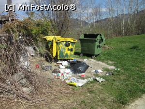 [P28] Ravagiile unui urs flăm&acirc;nd » foto by Michi
 - 
<span class="allrVoted glyphicon glyphicon-heart hidden" id="av1224396"></span>
<a class="m-l-10 hidden" id="sv1224396" onclick="voting_Foto_DelVot(,1224396,8964)" role="button">șterge vot <span class="glyphicon glyphicon-remove"></span></a>
<a id="v91224396" class=" c-red"  onclick="voting_Foto_SetVot(1224396)" role="button"><span class="glyphicon glyphicon-heart-empty"></span> <b>LIKE</b> = Votează poza</a> <img class="hidden"  id="f1224396W9" src="/imagini/loader.gif" border="0" /><span class="AjErrMes hidden" id="e1224396ErM"></span>