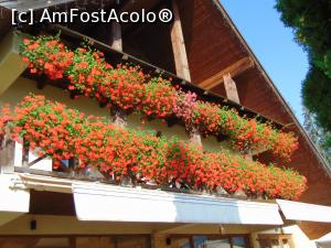 [P17] Balconul inflorat . » foto by liviu49
 - 
<span class="allrVoted glyphicon glyphicon-heart hidden" id="av1304507"></span>
<a class="m-l-10 hidden" id="sv1304507" onclick="voting_Foto_DelVot(,1304507,8968)" role="button">șterge vot <span class="glyphicon glyphicon-remove"></span></a>
<a id="v91304507" class=" c-red"  onclick="voting_Foto_SetVot(1304507)" role="button"><span class="glyphicon glyphicon-heart-empty"></span> <b>LIKE</b> = Votează poza</a> <img class="hidden"  id="f1304507W9" src="/imagini/loader.gif" border="0" /><span class="AjErrMes hidden" id="e1304507ErM"></span>