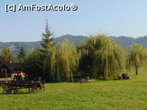 [P20] Vedere din curticica de 2 hectare a pensiunii . » foto by liviu49
 - 
<span class="allrVoted glyphicon glyphicon-heart hidden" id="av1304510"></span>
<a class="m-l-10 hidden" id="sv1304510" onclick="voting_Foto_DelVot(,1304510,8968)" role="button">șterge vot <span class="glyphicon glyphicon-remove"></span></a>
<a id="v91304510" class=" c-red"  onclick="voting_Foto_SetVot(1304510)" role="button"><span class="glyphicon glyphicon-heart-empty"></span> <b>LIKE</b> = Votează poza</a> <img class="hidden"  id="f1304510W9" src="/imagini/loader.gif" border="0" /><span class="AjErrMes hidden" id="e1304510ErM"></span>