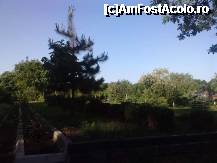 [P03] Gradina din spatele iazului, vazuta din camera » foto by LaraCroft
 - 
<span class="allrVoted glyphicon glyphicon-heart hidden" id="av237049"></span>
<a class="m-l-10 hidden" id="sv237049" onclick="voting_Foto_DelVot(,237049,8981)" role="button">șterge vot <span class="glyphicon glyphicon-remove"></span></a>
<a id="v9237049" class=" c-red"  onclick="voting_Foto_SetVot(237049)" role="button"><span class="glyphicon glyphicon-heart-empty"></span> <b>LIKE</b> = Votează poza</a> <img class="hidden"  id="f237049W9" src="/imagini/loader.gif" border="0" /><span class="AjErrMes hidden" id="e237049ErM"></span>