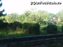 [P09] Gradina din spatele iazului vazuta tot din camera » foto by LaraCroft
 - 
<span class="allrVoted glyphicon glyphicon-heart hidden" id="av237056"></span>
<a class="m-l-10 hidden" id="sv237056" onclick="voting_Foto_DelVot(,237056,8981)" role="button">șterge vot <span class="glyphicon glyphicon-remove"></span></a>
<a id="v9237056" class=" c-red"  onclick="voting_Foto_SetVot(237056)" role="button"><span class="glyphicon glyphicon-heart-empty"></span> <b>LIKE</b> = Votează poza</a> <img class="hidden"  id="f237056W9" src="/imagini/loader.gif" border="0" /><span class="AjErrMes hidden" id="e237056ErM"></span>