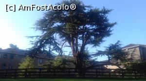 [P04] Un copac maiestuos care pare desprins dintr-un tablou romantic » foto by diacrys*
 - 
<span class="allrVoted glyphicon glyphicon-heart hidden" id="av1112089"></span>
<a class="m-l-10 hidden" id="sv1112089" onclick="voting_Foto_DelVot(,1112089,9014)" role="button">șterge vot <span class="glyphicon glyphicon-remove"></span></a>
<a id="v91112089" class=" c-red"  onclick="voting_Foto_SetVot(1112089)" role="button"><span class="glyphicon glyphicon-heart-empty"></span> <b>LIKE</b> = Votează poza</a> <img class="hidden"  id="f1112089W9" src="/imagini/loader.gif" border="0" /><span class="AjErrMes hidden" id="e1112089ErM"></span>