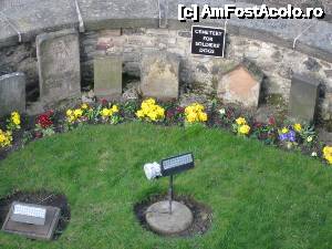 [P13] Cimitirul cățeilor.  » foto by ariciu*
 - 
<span class="allrVoted glyphicon glyphicon-heart hidden" id="av502754"></span>
<a class="m-l-10 hidden" id="sv502754" onclick="voting_Foto_DelVot(,502754,9014)" role="button">șterge vot <span class="glyphicon glyphicon-remove"></span></a>
<a id="v9502754" class=" c-red"  onclick="voting_Foto_SetVot(502754)" role="button"><span class="glyphicon glyphicon-heart-empty"></span> <b>LIKE</b> = Votează poza</a> <img class="hidden"  id="f502754W9" src="/imagini/loader.gif" border="0" /><span class="AjErrMes hidden" id="e502754ErM"></span>