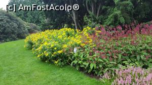 [P18] Gradina Botanica din Edinburgh.  » foto by Aurici
 - 
<span class="allrVoted glyphicon glyphicon-heart hidden" id="av908005"></span>
<a class="m-l-10 hidden" id="sv908005" onclick="voting_Foto_DelVot(,908005,9014)" role="button">șterge vot <span class="glyphicon glyphicon-remove"></span></a>
<a id="v9908005" class=" c-red"  onclick="voting_Foto_SetVot(908005)" role="button"><span class="glyphicon glyphicon-heart-empty"></span> <b>LIKE</b> = Votează poza</a> <img class="hidden"  id="f908005W9" src="/imagini/loader.gif" border="0" /><span class="AjErrMes hidden" id="e908005ErM"></span>