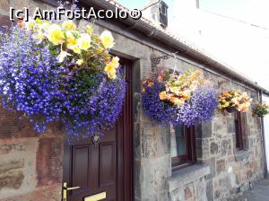 [P06] Casa in statia de autobuz de la Rosslyn.  » foto by Aurici
 - 
<span class="allrVoted glyphicon glyphicon-heart hidden" id="av908588"></span>
<a class="m-l-10 hidden" id="sv908588" onclick="voting_Foto_DelVot(,908588,9014)" role="button">șterge vot <span class="glyphicon glyphicon-remove"></span></a>
<a id="v9908588" class=" c-red"  onclick="voting_Foto_SetVot(908588)" role="button"><span class="glyphicon glyphicon-heart-empty"></span> <b>LIKE</b> = Votează poza</a> <img class="hidden"  id="f908588W9" src="/imagini/loader.gif" border="0" /><span class="AjErrMes hidden" id="e908588ErM"></span>