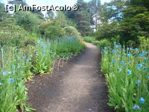 [P16] Royal Botanical Garden » foto by Marius 72
 - 
<span class="allrVoted glyphicon glyphicon-heart hidden" id="av1159170"></span>
<a class="m-l-10 hidden" id="sv1159170" onclick="voting_Foto_DelVot(,1159170,9014)" role="button">șterge vot <span class="glyphicon glyphicon-remove"></span></a>
<a id="v91159170" class=" c-red"  onclick="voting_Foto_SetVot(1159170)" role="button"><span class="glyphicon glyphicon-heart-empty"></span> <b>LIKE</b> = Votează poza</a> <img class="hidden"  id="f1159170W9" src="/imagini/loader.gif" border="0" /><span class="AjErrMes hidden" id="e1159170ErM"></span>