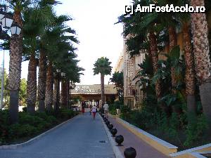 [P01] Playabonita Hotel - Aleea de intrare în hotel » foto by nicole33
 - 
<span class="allrVoted glyphicon glyphicon-heart hidden" id="av464505"></span>
<a class="m-l-10 hidden" id="sv464505" onclick="voting_Foto_DelVot(,464505,9022)" role="button">șterge vot <span class="glyphicon glyphicon-remove"></span></a>
<a id="v9464505" class=" c-red"  onclick="voting_Foto_SetVot(464505)" role="button"><span class="glyphicon glyphicon-heart-empty"></span> <b>LIKE</b> = Votează poza</a> <img class="hidden"  id="f464505W9" src="/imagini/loader.gif" border="0" /><span class="AjErrMes hidden" id="e464505ErM"></span>