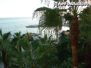 [P12] Playabonita Hotel - vedere din balcon cu un palmier ce depășea nivelul etajului 5 » foto by nicole33
 - 
<span class="allrVoted glyphicon glyphicon-heart hidden" id="av464516"></span>
<a class="m-l-10 hidden" id="sv464516" onclick="voting_Foto_DelVot(,464516,9022)" role="button">șterge vot <span class="glyphicon glyphicon-remove"></span></a>
<a id="v9464516" class=" c-red"  onclick="voting_Foto_SetVot(464516)" role="button"><span class="glyphicon glyphicon-heart-empty"></span> <b>LIKE</b> = Votează poza</a> <img class="hidden"  id="f464516W9" src="/imagini/loader.gif" border="0" /><span class="AjErrMes hidden" id="e464516ErM"></span>