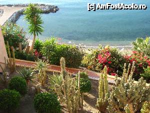 [P13] Playabonita Hotel - cactuși și tufe de flori pe stânca în care a fost construit hotelul » foto by nicole33
 - 
<span class="allrVoted glyphicon glyphicon-heart hidden" id="av464517"></span>
<a class="m-l-10 hidden" id="sv464517" onclick="voting_Foto_DelVot(,464517,9022)" role="button">șterge vot <span class="glyphicon glyphicon-remove"></span></a>
<a id="v9464517" class=" c-red"  onclick="voting_Foto_SetVot(464517)" role="button"><span class="glyphicon glyphicon-heart-empty"></span> <b>LIKE</b> = Votează poza</a> <img class="hidden"  id="f464517W9" src="/imagini/loader.gif" border="0" /><span class="AjErrMes hidden" id="e464517ErM"></span>