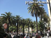 [P03] Imagine la o ora matinala prin Ajaccio » foto by georgiana
 - 
<span class="allrVoted glyphicon glyphicon-heart hidden" id="av205512"></span>
<a class="m-l-10 hidden" id="sv205512" onclick="voting_Foto_DelVot(,205512,9033)" role="button">șterge vot <span class="glyphicon glyphicon-remove"></span></a>
<a id="v9205512" class=" c-red"  onclick="voting_Foto_SetVot(205512)" role="button"><span class="glyphicon glyphicon-heart-empty"></span> <b>LIKE</b> = Votează poza</a> <img class="hidden"  id="f205512W9" src="/imagini/loader.gif" border="0" /><span class="AjErrMes hidden" id="e205512ErM"></span>