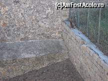 [P37] in canalul secat din jurul citadelei statea la umbra o caprioara. sau poate o capra !? nu prea stiu... » foto by a.sr*
 - 
<span class="allrVoted glyphicon glyphicon-heart hidden" id="av269802"></span>
<a class="m-l-10 hidden" id="sv269802" onclick="voting_Foto_DelVot(,269802,9033)" role="button">șterge vot <span class="glyphicon glyphicon-remove"></span></a>
<a id="v9269802" class=" c-red"  onclick="voting_Foto_SetVot(269802)" role="button"><span class="glyphicon glyphicon-heart-empty"></span> <b>LIKE</b> = Votează poza</a> <img class="hidden"  id="f269802W9" src="/imagini/loader.gif" border="0" /><span class="AjErrMes hidden" id="e269802ErM"></span>