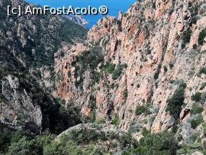 [P26] Calanques de Piana » foto by Mika
 - 
<span class="allrVoted glyphicon glyphicon-heart hidden" id="av1032338"></span>
<a class="m-l-10 hidden" id="sv1032338" onclick="voting_Foto_DelVot(,1032338,9033)" role="button">șterge vot <span class="glyphicon glyphicon-remove"></span></a>
<a id="v91032338" class=" c-red"  onclick="voting_Foto_SetVot(1032338)" role="button"><span class="glyphicon glyphicon-heart-empty"></span> <b>LIKE</b> = Votează poza</a> <img class="hidden"  id="f1032338W9" src="/imagini/loader.gif" border="0" /><span class="AjErrMes hidden" id="e1032338ErM"></span>
