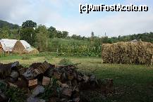 [P02] Grădina din spatele pensiunii. Se vede fânul pus pe şpaleţi la uscat şi lemnele care alimentează cazanul pentru încălzirea apei. În spate, stânga, este casa bătrânească.  » foto by Utube
 - 
<span class="allrVoted glyphicon glyphicon-heart hidden" id="av377031"></span>
<a class="m-l-10 hidden" id="sv377031" onclick="voting_Foto_DelVot(,377031,9036)" role="button">șterge vot <span class="glyphicon glyphicon-remove"></span></a>
<a id="v9377031" class=" c-red"  onclick="voting_Foto_SetVot(377031)" role="button"><span class="glyphicon glyphicon-heart-empty"></span> <b>LIKE</b> = Votează poza</a> <img class="hidden"  id="f377031W9" src="/imagini/loader.gif" border="0" /><span class="AjErrMes hidden" id="e377031ErM"></span>