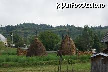 [P06] Un deal plin cu pruni. Dacă mergeţi toamna, când se coc, aveţi noroc şi voie să mâncaţi pe săturate. Atenţie! Unele prune sunt 'grase' şi prin urmare laxative.  » foto by Utube
 - 
<span class="allrVoted glyphicon glyphicon-heart hidden" id="av377038"></span>
<a class="m-l-10 hidden" id="sv377038" onclick="voting_Foto_DelVot(,377038,9036)" role="button">șterge vot <span class="glyphicon glyphicon-remove"></span></a>
<a id="v9377038" class=" c-red"  onclick="voting_Foto_SetVot(377038)" role="button"><span class="glyphicon glyphicon-heart-empty"></span> <b>LIKE</b> = Votează poza</a> <img class="hidden"  id="f377038W9" src="/imagini/loader.gif" border="0" /><span class="AjErrMes hidden" id="e377038ErM"></span>