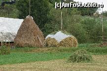 [P07] Casa bătrânească şi căpiţe de fân în diferite faze ale existenţei lor: întreagă, pe jumătate şi verde.  » foto by Utube
 - 
<span class="allrVoted glyphicon glyphicon-heart hidden" id="av377039"></span>
<a class="m-l-10 hidden" id="sv377039" onclick="voting_Foto_DelVot(,377039,9036)" role="button">șterge vot <span class="glyphicon glyphicon-remove"></span></a>
<a id="v9377039" class=" c-red"  onclick="voting_Foto_SetVot(377039)" role="button"><span class="glyphicon glyphicon-heart-empty"></span> <b>LIKE</b> = Votează poza</a> <img class="hidden"  id="f377039W9" src="/imagini/loader.gif" border="0" /><span class="AjErrMes hidden" id="e377039ErM"></span>