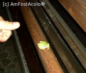 [P03] Seara pe balcon :)  » foto by Felicis
 - 
<span class="allrVoted glyphicon glyphicon-heart hidden" id="av1106859"></span>
<a class="m-l-10 hidden" id="sv1106859" onclick="voting_Foto_DelVot(,1106859,9050)" role="button">șterge vot <span class="glyphicon glyphicon-remove"></span></a>
<a id="v91106859" class=" c-red"  onclick="voting_Foto_SetVot(1106859)" role="button"><span class="glyphicon glyphicon-heart-empty"></span> <b>LIKE</b> = Votează poza</a> <img class="hidden"  id="f1106859W9" src="/imagini/loader.gif" border="0" /><span class="AjErrMes hidden" id="e1106859ErM"></span>