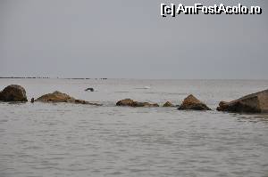 [P26] Un pelican si un cormoran la varsarea Dunarii in mare...  » foto by Catzus
 - 
<span class="allrVoted glyphicon glyphicon-heart hidden" id="av530122"></span>
<a class="m-l-10 hidden" id="sv530122" onclick="voting_Foto_DelVot(,530122,9050)" role="button">șterge vot <span class="glyphicon glyphicon-remove"></span></a>
<a id="v9530122" class=" c-red"  onclick="voting_Foto_SetVot(530122)" role="button"><span class="glyphicon glyphicon-heart-empty"></span> <b>LIKE</b> = Votează poza</a> <img class="hidden"  id="f530122W9" src="/imagini/loader.gif" border="0" /><span class="AjErrMes hidden" id="e530122ErM"></span>
