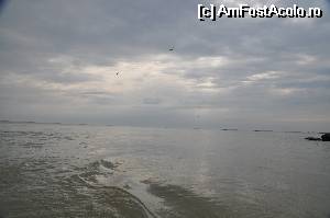 [P27] Aici iesisem deja in mare...  » foto by Catzus
 - 
<span class="allrVoted glyphicon glyphicon-heart hidden" id="av530123"></span>
<a class="m-l-10 hidden" id="sv530123" onclick="voting_Foto_DelVot(,530123,9050)" role="button">șterge vot <span class="glyphicon glyphicon-remove"></span></a>
<a id="v9530123" class=" c-red"  onclick="voting_Foto_SetVot(530123)" role="button"><span class="glyphicon glyphicon-heart-empty"></span> <b>LIKE</b> = Votează poza</a> <img class="hidden"  id="f530123W9" src="/imagini/loader.gif" border="0" /><span class="AjErrMes hidden" id="e530123ErM"></span>