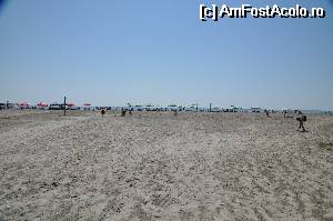[P29] Plaja din Sulina...  » foto by Catzus
 - 
<span class="allrVoted glyphicon glyphicon-heart hidden" id="av530125"></span>
<a class="m-l-10 hidden" id="sv530125" onclick="voting_Foto_DelVot(,530125,9050)" role="button">șterge vot <span class="glyphicon glyphicon-remove"></span></a>
<a id="v9530125" class=" c-red"  onclick="voting_Foto_SetVot(530125)" role="button"><span class="glyphicon glyphicon-heart-empty"></span> <b>LIKE</b> = Votează poza</a> <img class="hidden"  id="f530125W9" src="/imagini/loader.gif" border="0" /><span class="AjErrMes hidden" id="e530125ErM"></span>