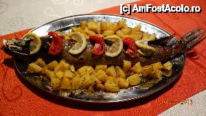 [P06] Stiuca umpluta la restaurantul Delta Miraj. Alaturi de salaul la gratar, a fost printre preferatele mele.  » foto by samcluj
 - 
<span class="allrVoted glyphicon glyphicon-heart hidden" id="av458770"></span>
<a class="m-l-10 hidden" id="sv458770" onclick="voting_Foto_DelVot(,458770,9050)" role="button">șterge vot <span class="glyphicon glyphicon-remove"></span></a>
<a id="v9458770" class=" c-red"  onclick="voting_Foto_SetVot(458770)" role="button"><span class="glyphicon glyphicon-heart-empty"></span> <b>LIKE</b> = Votează poza</a> <img class="hidden"  id="f458770W9" src="/imagini/loader.gif" border="0" /><span class="AjErrMes hidden" id="e458770ErM"></span>