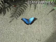 [P09]  -- <small>// FĂRĂ DESCRIERE</small> » foto by ANDAORNELLA
 - 
<span class="allrVoted glyphicon glyphicon-heart hidden" id="av212329"></span>
<a class="m-l-10 hidden" id="sv212329" onclick="voting_Foto_DelVot(,212329,9064)" role="button">șterge vot <span class="glyphicon glyphicon-remove"></span></a>
<a id="v9212329" class=" c-red"  onclick="voting_Foto_SetVot(212329)" role="button"><span class="glyphicon glyphicon-heart-empty"></span> <b>LIKE</b> = Votează poza</a> <img class="hidden"  id="f212329W9" src="/imagini/loader.gif" border="0" /><span class="AjErrMes hidden" id="e212329ErM"></span>