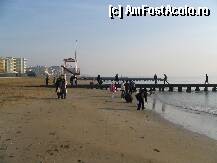 [P12] Lido di Jesolo,pe plaja la cules de scoici » foto by luciaoradea
 - 
<span class="allrVoted glyphicon glyphicon-heart hidden" id="av206963"></span>
<a class="m-l-10 hidden" id="sv206963" onclick="voting_Foto_DelVot(,206963,9070)" role="button">șterge vot <span class="glyphicon glyphicon-remove"></span></a>
<a id="v9206963" class=" c-red"  onclick="voting_Foto_SetVot(206963)" role="button"><span class="glyphicon glyphicon-heart-empty"></span> <b>LIKE</b> = Votează poza</a> <img class="hidden"  id="f206963W9" src="/imagini/loader.gif" border="0" /><span class="AjErrMes hidden" id="e206963ErM"></span>