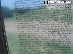 [P21] Descrierea parcului cu lac, păuni şi statui » foto by Michi
 - 
<span class="allrVoted glyphicon glyphicon-heart hidden" id="av562348"></span>
<a class="m-l-10 hidden" id="sv562348" onclick="voting_Foto_DelVot(,562348,9088)" role="button">șterge vot <span class="glyphicon glyphicon-remove"></span></a>
<a id="v9562348" class=" c-red"  onclick="voting_Foto_SetVot(562348)" role="button"><span class="glyphicon glyphicon-heart-empty"></span> <b>LIKE</b> = Votează poza</a> <img class="hidden"  id="f562348W9" src="/imagini/loader.gif" border="0" /><span class="AjErrMes hidden" id="e562348ErM"></span>