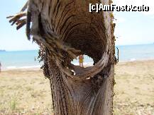 [P26]  -- <small>// FĂRĂ DESCRIERE</small> » foto by RUSTICCO
 - 
<span class="allrVoted glyphicon glyphicon-heart hidden" id="av277374"></span>
<a class="m-l-10 hidden" id="sv277374" onclick="voting_Foto_DelVot(,277374,9091)" role="button">șterge vot <span class="glyphicon glyphicon-remove"></span></a>
<a id="v9277374" class=" c-red"  onclick="voting_Foto_SetVot(277374)" role="button"><span class="glyphicon glyphicon-heart-empty"></span> <b>LIKE</b> = Votează poza</a> <img class="hidden"  id="f277374W9" src="/imagini/loader.gif" border="0" /><span class="AjErrMes hidden" id="e277374ErM"></span>
