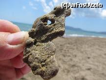 [P28]  -- <small>// FĂRĂ DESCRIERE</small> » foto by RUSTICCO
 - 
<span class="allrVoted glyphicon glyphicon-heart hidden" id="av277376"></span>
<a class="m-l-10 hidden" id="sv277376" onclick="voting_Foto_DelVot(,277376,9091)" role="button">șterge vot <span class="glyphicon glyphicon-remove"></span></a>
<a id="v9277376" class=" c-red"  onclick="voting_Foto_SetVot(277376)" role="button"><span class="glyphicon glyphicon-heart-empty"></span> <b>LIKE</b> = Votează poza</a> <img class="hidden"  id="f277376W9" src="/imagini/loader.gif" border="0" /><span class="AjErrMes hidden" id="e277376ErM"></span>