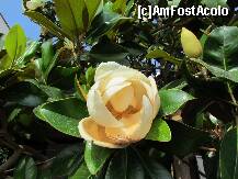 [P53]  -- <small>// FĂRĂ DESCRIERE</small> » foto by RUSTICCO
 - 
<span class="allrVoted glyphicon glyphicon-heart hidden" id="av277401"></span>
<a class="m-l-10 hidden" id="sv277401" onclick="voting_Foto_DelVot(,277401,9091)" role="button">șterge vot <span class="glyphicon glyphicon-remove"></span></a>
<a id="v9277401" class=" c-red"  onclick="voting_Foto_SetVot(277401)" role="button"><span class="glyphicon glyphicon-heart-empty"></span> <b>LIKE</b> = Votează poza</a> <img class="hidden"  id="f277401W9" src="/imagini/loader.gif" border="0" /><span class="AjErrMes hidden" id="e277401ErM"></span>