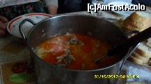 [P100] ciulama de pui, facuta de cumnatu-Rona de Jos-Maramures » foto by adryana
 - 
<span class="allrVoted glyphicon glyphicon-heart hidden" id="av159047"></span>
<a class="m-l-10 hidden" id="sv159047" onclick="voting_Foto_DelVot(,159047,9099)" role="button">șterge vot <span class="glyphicon glyphicon-remove"></span></a>
<a id="v9159047" class=" c-red"  onclick="voting_Foto_SetVot(159047)" role="button"><span class="glyphicon glyphicon-heart-empty"></span> <b>LIKE</b> = Votează poza</a> <img class="hidden"  id="f159047W9" src="/imagini/loader.gif" border="0" /><span class="AjErrMes hidden" id="e159047ErM"></span>