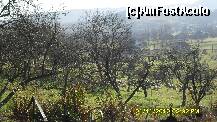 [P118] oi pe pajiste » foto by adryana
 - 
<span class="allrVoted glyphicon glyphicon-heart hidden" id="av159074"></span>
<a class="m-l-10 hidden" id="sv159074" onclick="voting_Foto_DelVot(,159074,9099)" role="button">șterge vot <span class="glyphicon glyphicon-remove"></span></a>
<a id="v9159074" class=" c-red"  onclick="voting_Foto_SetVot(159074)" role="button"><span class="glyphicon glyphicon-heart-empty"></span> <b>LIKE</b> = Votează poza</a> <img class="hidden"  id="f159074W9" src="/imagini/loader.gif" border="0" /><span class="AjErrMes hidden" id="e159074ErM"></span>