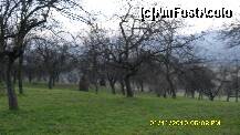 [P125]  -- <small>// FĂRĂ DESCRIERE</small> » foto by adryana
 - 
<span class="allrVoted glyphicon glyphicon-heart hidden" id="av159086"></span>
<a class="m-l-10 hidden" id="sv159086" onclick="voting_Foto_DelVot(,159086,9099)" role="button">șterge vot <span class="glyphicon glyphicon-remove"></span></a>
<a id="v9159086" class=" c-red"  onclick="voting_Foto_SetVot(159086)" role="button"><span class="glyphicon glyphicon-heart-empty"></span> <b>LIKE</b> = Votează poza</a> <img class="hidden"  id="f159086W9" src="/imagini/loader.gif" border="0" /><span class="AjErrMes hidden" id="e159086ErM"></span>