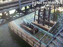 [P09] silver river flume » foto by papone
 - 
<span class="allrVoted glyphicon glyphicon-heart hidden" id="av494844"></span>
<a class="m-l-10 hidden" id="sv494844" onclick="voting_Foto_DelVot(,494844,9107)" role="button">șterge vot <span class="glyphicon glyphicon-remove"></span></a>
<a id="v9494844" class=" c-red"  onclick="voting_Foto_SetVot(494844)" role="button"><span class="glyphicon glyphicon-heart-empty"></span> <b>LIKE</b> = Votează poza</a> <img class="hidden"  id="f494844W9" src="/imagini/loader.gif" border="0" /><span class="AjErrMes hidden" id="e494844ErM"></span>