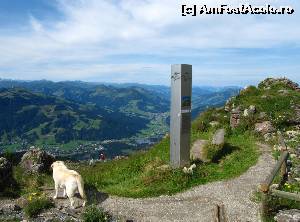 [P20] În zona intrării în Alpen Blumen Garten. Câinele este al doamnei care se îngrijea de gradină.  » foto by saxonul
 - 
<span class="allrVoted glyphicon glyphicon-heart hidden" id="av546935"></span>
<a class="m-l-10 hidden" id="sv546935" onclick="voting_Foto_DelVot(,546935,9111)" role="button">șterge vot <span class="glyphicon glyphicon-remove"></span></a>
<a id="v9546935" class=" c-red"  onclick="voting_Foto_SetVot(546935)" role="button"><span class="glyphicon glyphicon-heart-empty"></span> <b>LIKE</b> = Votează poza</a> <img class="hidden"  id="f546935W9" src="/imagini/loader.gif" border="0" /><span class="AjErrMes hidden" id="e546935ErM"></span>